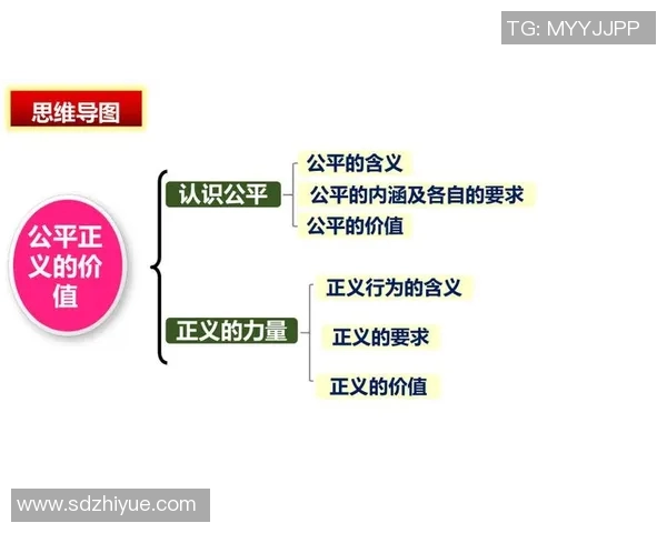 以人权为核心推进社会公平与正义的全球行动路径探讨