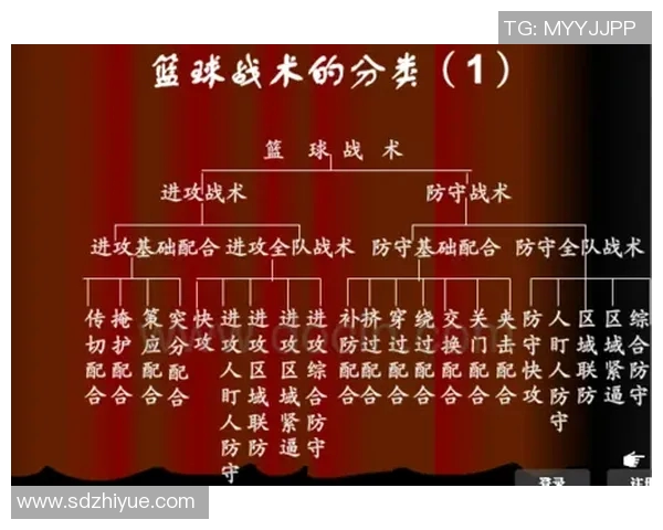 以小前锋为核心的篮球战术体系创新与应用探索