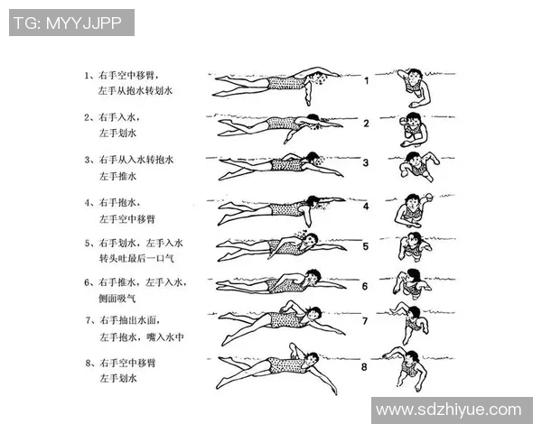 蛙泳技巧全面解析：从入水到出水的每一步动作要领与训练方法